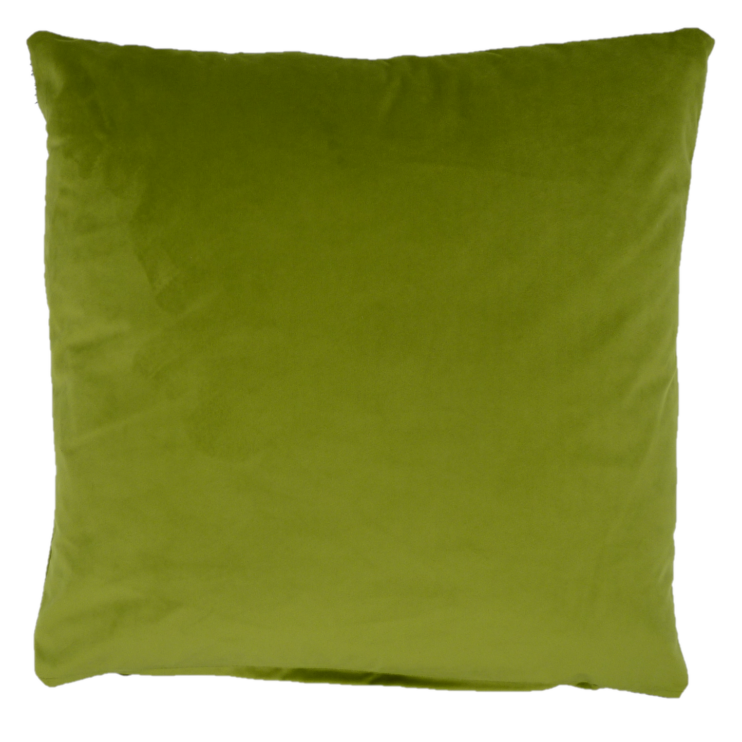 Opulence Velvet Cushion in Sage Green