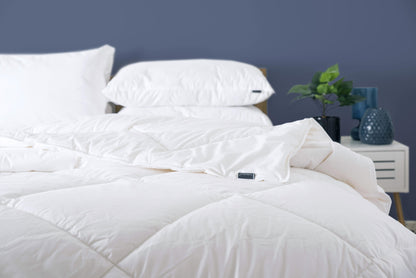Pure Wool Filled Pillow
